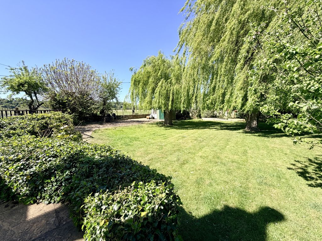 Cockmarsh